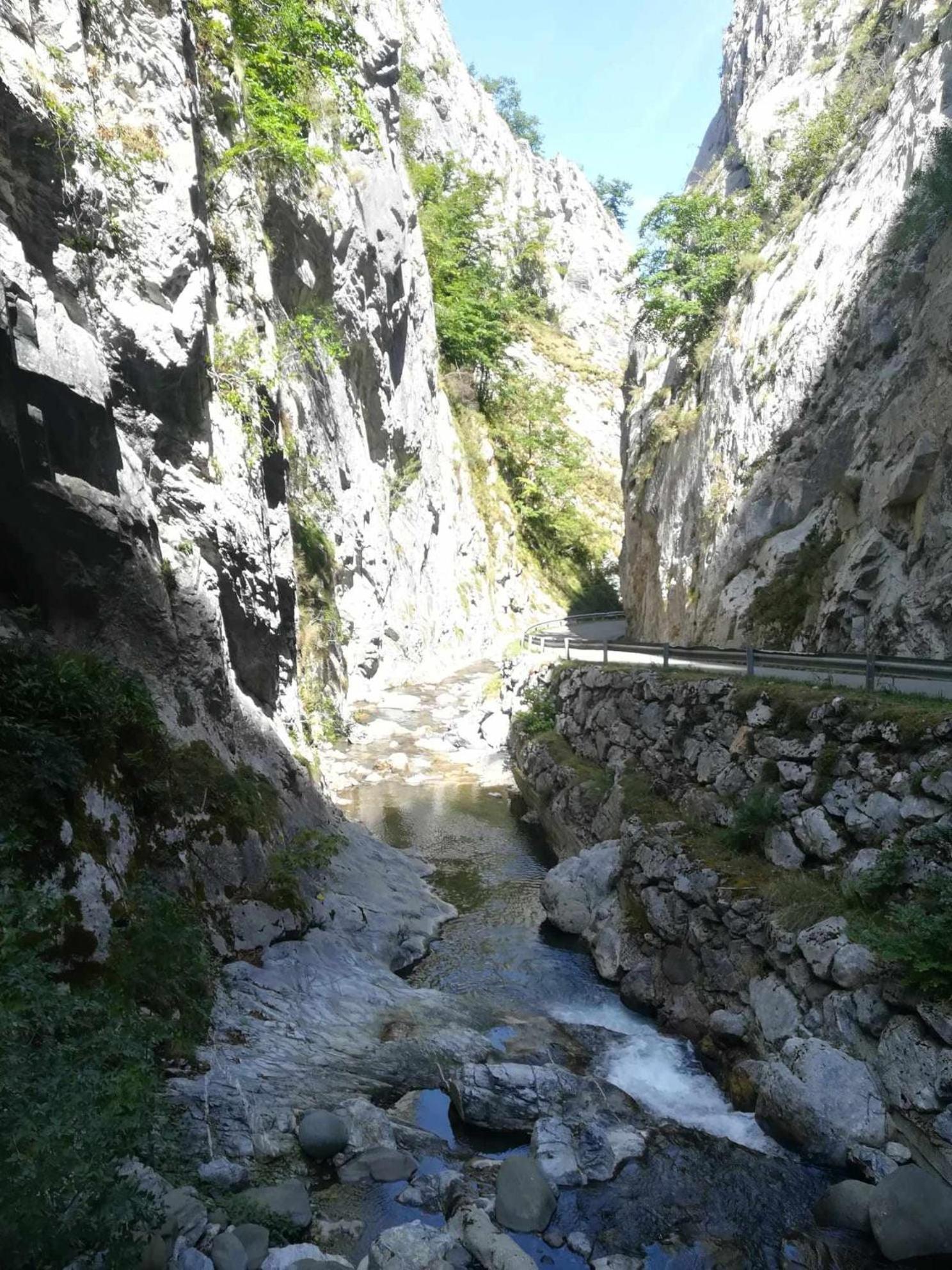 Asturias Boho Chic Daire Aller Dış mekan fotoğraf