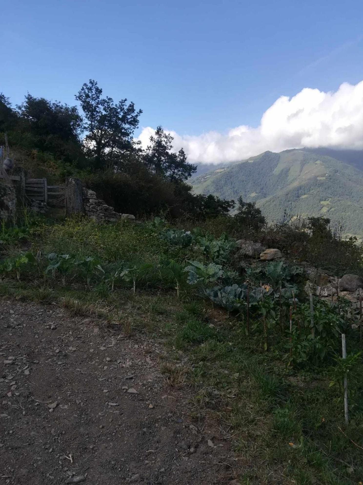 Asturias Boho Chic Daire Aller Dış mekan fotoğraf