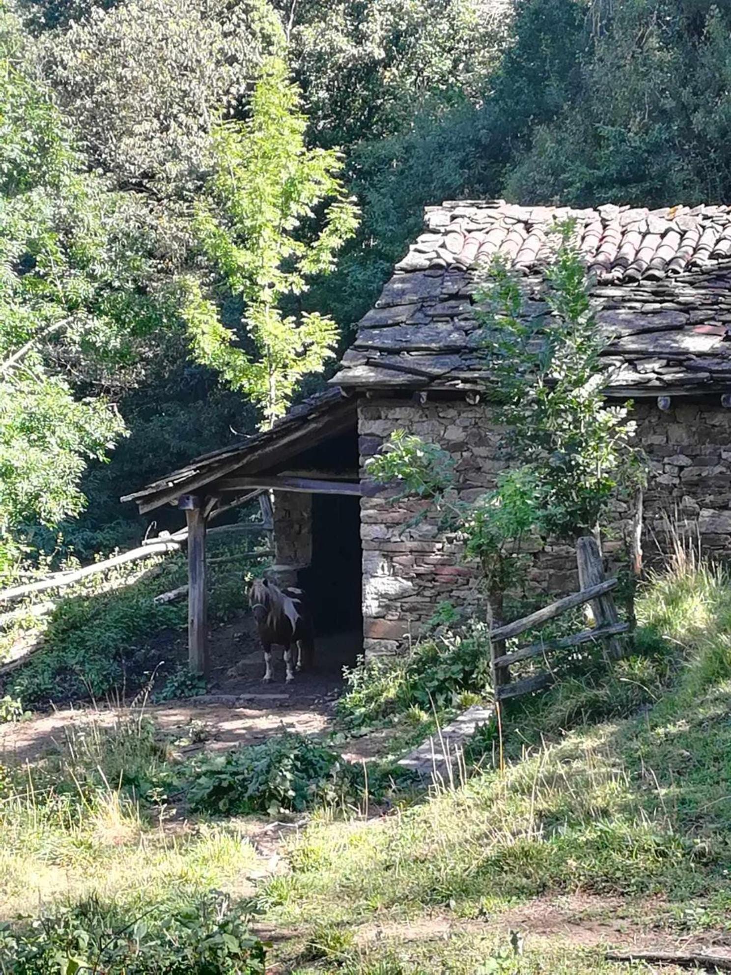 Asturias Boho Chic Daire Aller Dış mekan fotoğraf