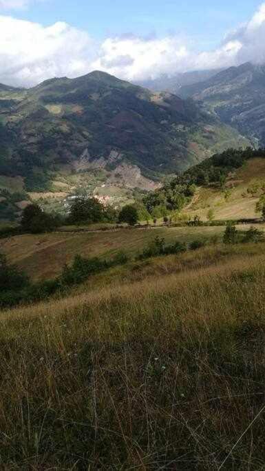 Asturias Boho Chic Daire Aller Dış mekan fotoğraf