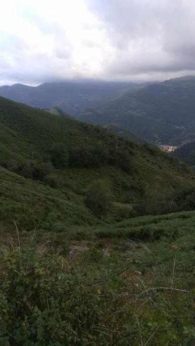 Asturias Boho Chic Daire Aller Dış mekan fotoğraf