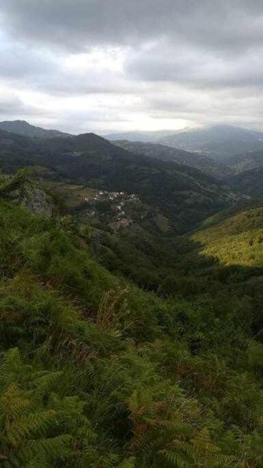 Asturias Boho Chic Daire Aller Dış mekan fotoğraf